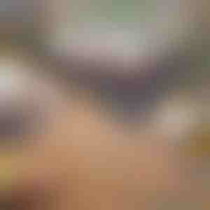 Hordozható faszénes grill | GRILLOMATE