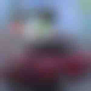 A legjobb nyári védelem autók számára! | CARCOVER