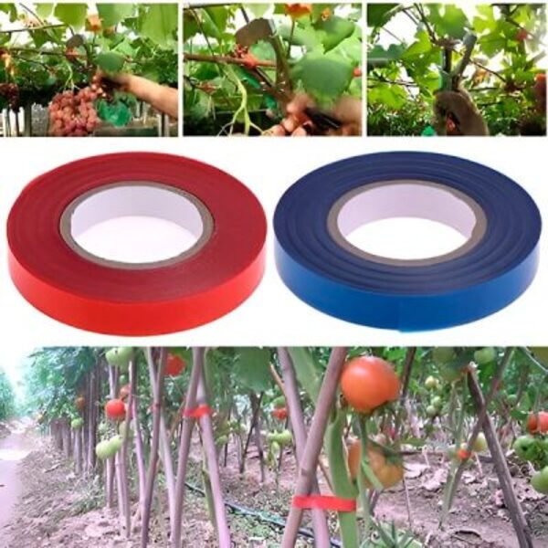 PLANTBRANDTAPE113959__280525